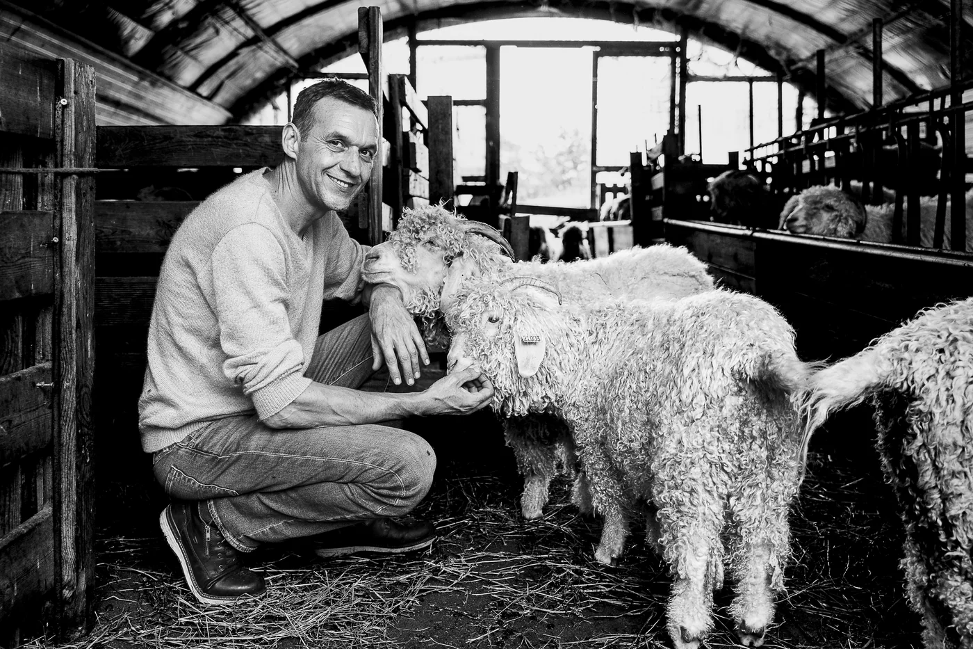 Portrait — éleveur dans sa bergerie